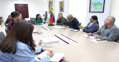 Vicepresidenta Rodríguez discute estrategias para impulsar el plan de las Siete T