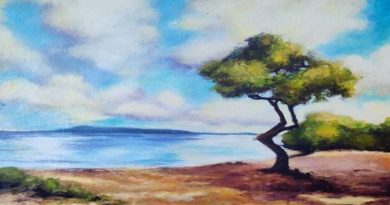 Inauguraran exposiciones que reflejan el espíritu artístico de ilustradoras venezolanas