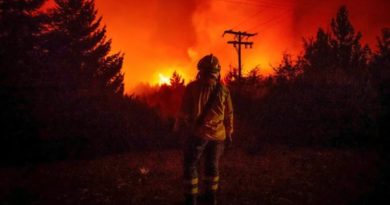 Más de 40.000 hectáreas arrasadas por incendios en Patagonia argentina
