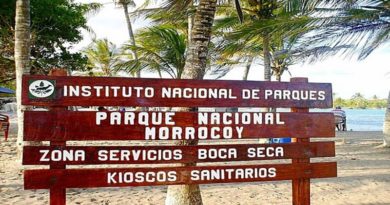 Registran altas ventas en paquetes turísticos para Carnavales 2025