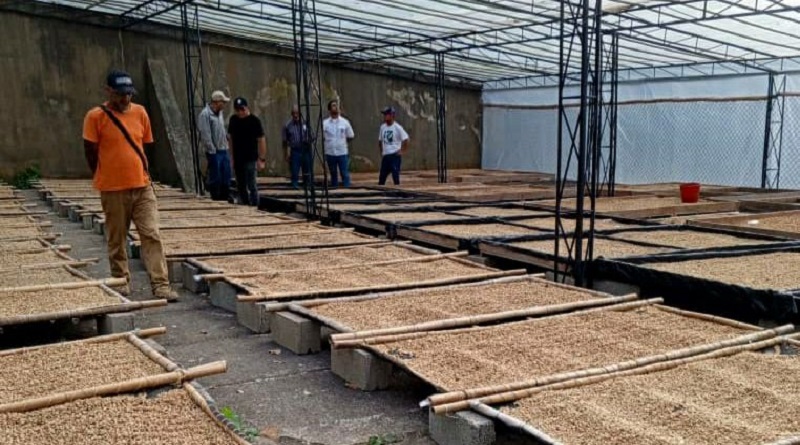 La Ruta del Café Mirandino continúa comprometida con el desarrollo sostenible de la caficultura, apoya a los productores en la mejora de sus prácticas