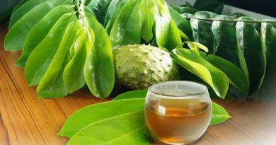 Conozca los beneficios del té de la hoja de guanábana para la salud