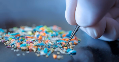 Estudio científico revela alta presencia de microplásticos en alimentos
