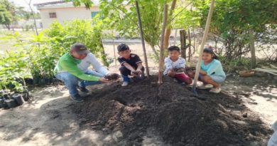 Misión Árbol promueve formación ambiental en Zulia