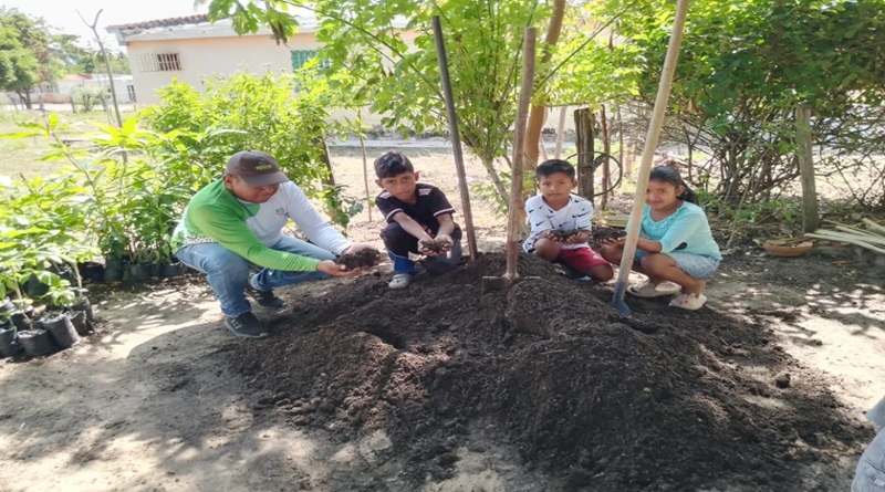 Misión Árbol promueve formación ambiental en Zulia