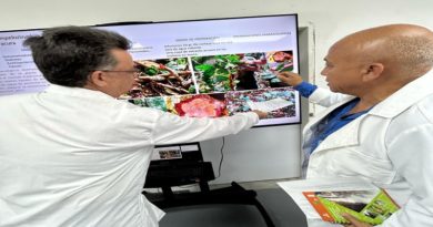 Avanza investigación de té con propiedades anticancerígenas en Amazonas