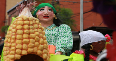 Desfile de carrozas y comparsas en Petare cierra Carnavales Felices 2025 en Miranda