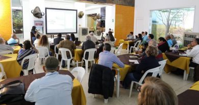 Consolidan propuestas para preservar colecciones arqueológicas