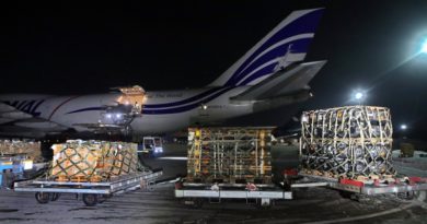 Un lote de ayuda militar de EE.UU. en el aeropuerto internacional de Boríspol, Ucrania, 25 de enero de 2022. (Keystone Press Agency / www.globallookpress.com)