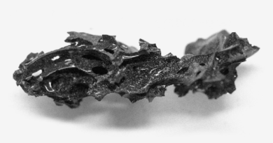 Cómo una antigua erupción convirtió un cerebro humano en vidrio