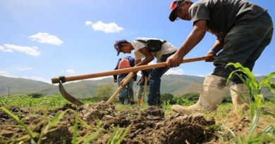 Cumanacoa reciben instrumentos agrarios para fortalecer economía alimentaria