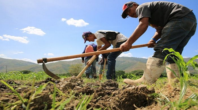 Cumanacoa reciben instrumentos agrarios para fortalecer economía alimentaria