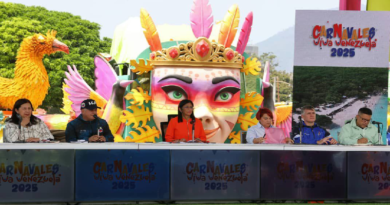 Ministro Cabello: Operativo de seguridad Carnavales 2025 se cumplió sin novedad