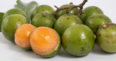 Mamón: fruta rica en nutrientes que fortalece la salud integral