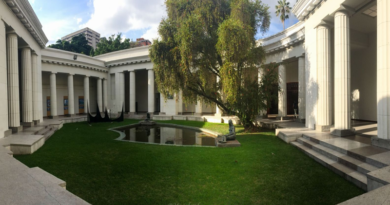 Museo de Bellas Artes