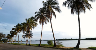 Paseo Malecón Manamo destaca como atractivo turístico en Delta Amacuro