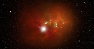 La radiación de una supernova pudo haber alterado la evolución de la vida