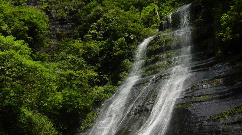 Rutas turísticas en Monagas dinamizan economía de la región