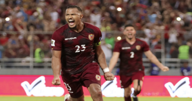Vinotinto