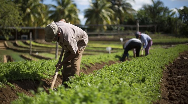 Invitan a conversatorio sobre manejo sanitario y espacios agrícolas en Aragua