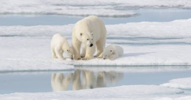 Deshielo ártico desestabiliza patrones climáticos en América y Europa