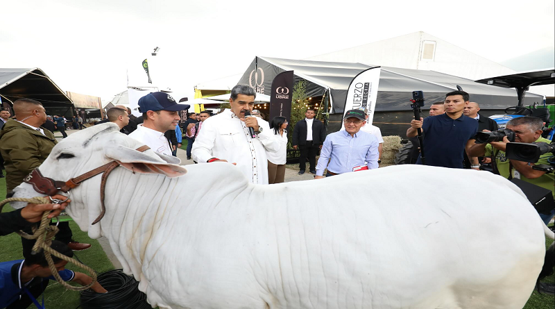 Venezuela es el tercer país exportador en genética ganadera en América Latina