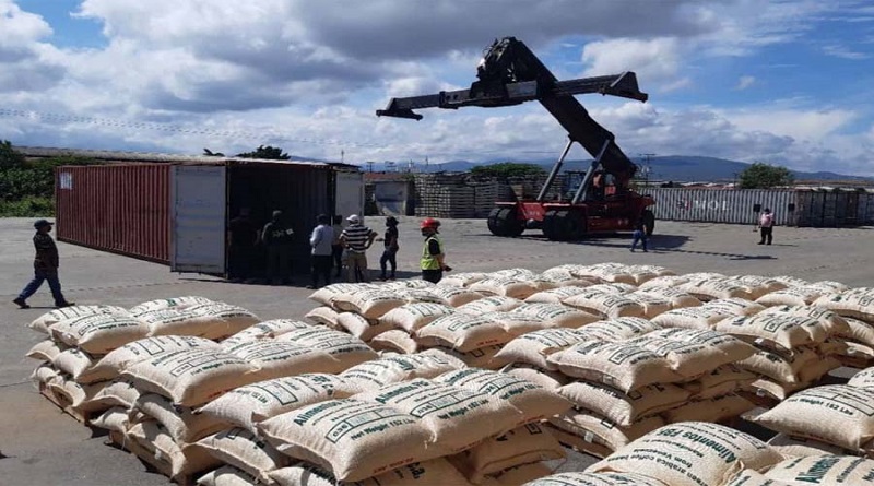 Exportan café verde desde Lara a mercados internacionales