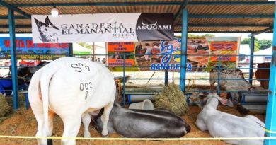 Expo ganadera 2025 potencia la producción pecuaria de Guárico