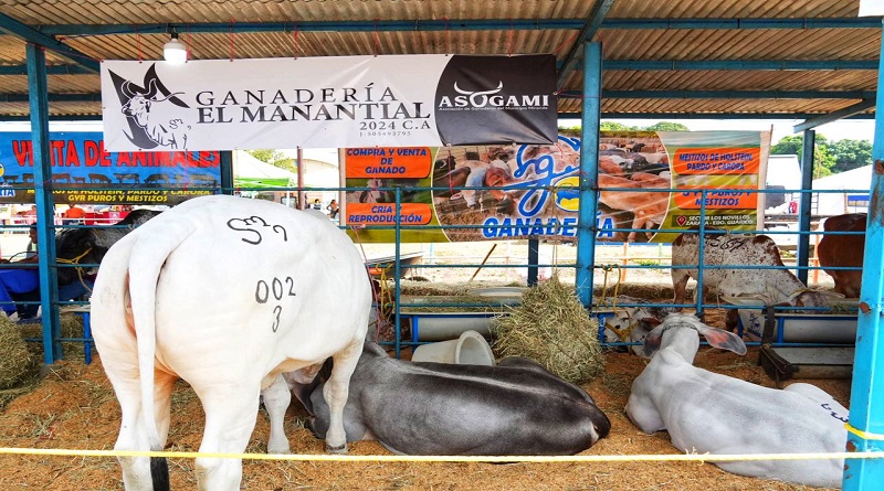 Expo ganadera 2025 potencia la producción pecuaria de Guárico