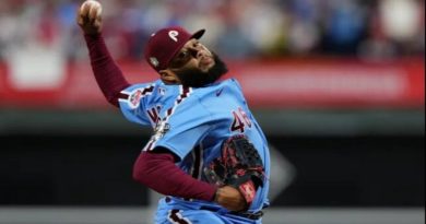 José Alvarado consigue su quinto salvado de la temporada
