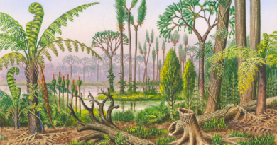 Hallan a los sobrevivientes de la crisis climática antes de los dinosaurios
