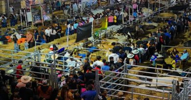 Feria Agroturística Anzoátegui cierra con éxito tras reunir a más de 100 expositores