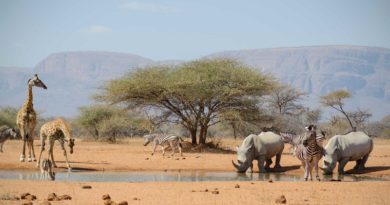 Sudáfrica lanza herramienta digital para análisis ambiental