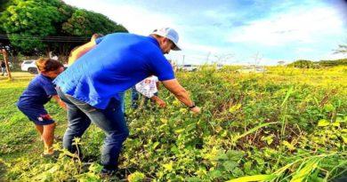 Guárico logró récords productivos que aseguran alimentos para Venezuela