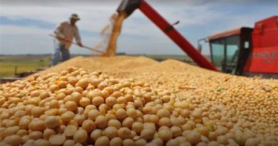 Producción de soya será fortalecida a través de agenda científica