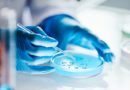 Científicos chinos desarrollan bacteria capaz de degradar contaminantes orgánicos