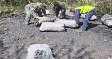 incautan-kilos-carbon-vegetal-extraccion-ilicita-lara