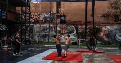 Megaespectáculo circense prepara MinCultura para Caracas