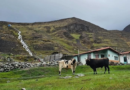 Ruta de los Páramos de Mérida invita a sumergirse en un clima de montaña