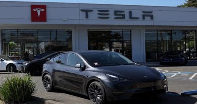 ventas-empresa-tesla-elon-musk-desploman-europa
