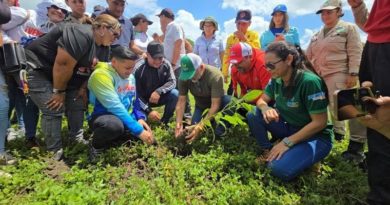 Sembrarán 20 mil plantas en Ospino para recuperar áreas afectadas por lluvias
