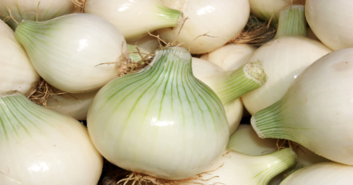 ¿Cuáles son los beneficios y nutrientes de la cebolla?