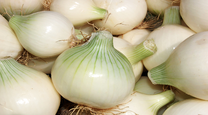 ¿Cuáles son los beneficios y nutrientes de la cebolla?