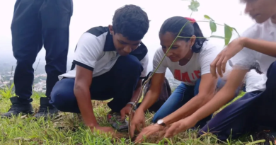 Estudiantes yaracuyanos participan en Jornada Estadal de Reforestación