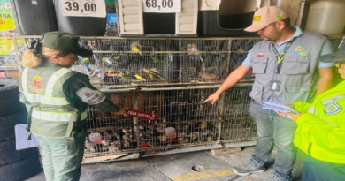 Decomisan más de mil ejemplares de fauna silvestre en 124 operativos de fiscalización