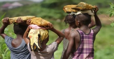 Unicef denuncia que más de 138 millones de niños y niñas siguen sometidos al trabajo infantil