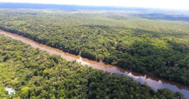 Pretenden vincular a Venezuela con narcotráfico con "Falsa Bandera" en El Esequibo