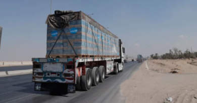 Camiones de ayuda humanitaria logran entrar al territorio palestino