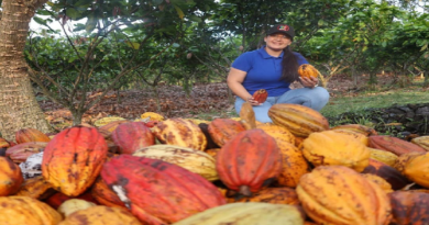 Mérida se posiciona como polo de desarrollo económico gracias a la Ruta del Cacao