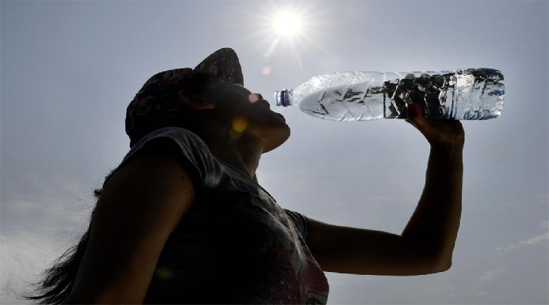 Ola de calor en España deja más de 390 fallecidos